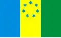 Flag of Strzelce County