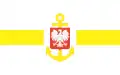 Hospital ship flag