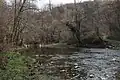 A river in Paštrić