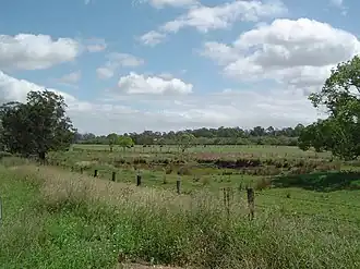 Paddocks along Bruckner Road, 2014