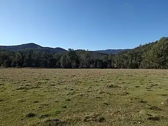 Paddocks along Mount Byron Road, 2015