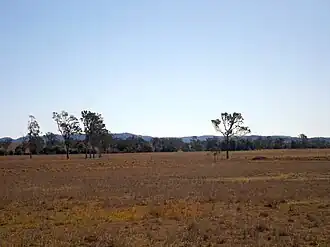 Paddocks along Kilcoy Murgon Road, 2015