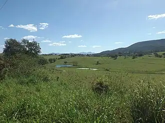 Paddocks along Frank Road, 2016