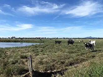 Paddocks along Kengoon Road, 2015