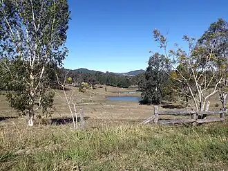 Paddocks along Sandy Creek Road, 2015