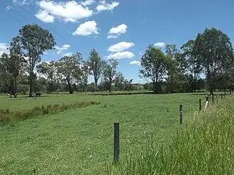 Paddocks along Old Beaudesert Road, 2016