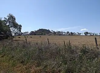 Paddocks along Franks Road at Vale View, 2014