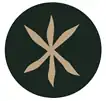 Pakistan army eastern command Insignia