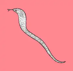 Flag of Pal Lahara