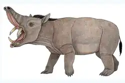 Reconstruction of the astrapothere Xenastrapotherium christi. Artwork created with graphite and colored pencils. Author: Edwin Chávez "Disfrasaurio".