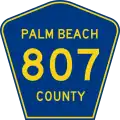 State Road 807 and County Road 807 marker