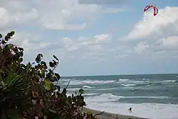 Beach scene