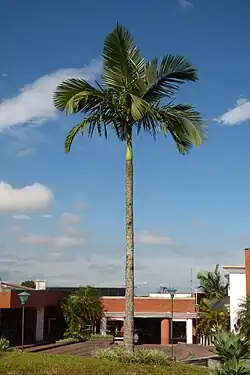 ""