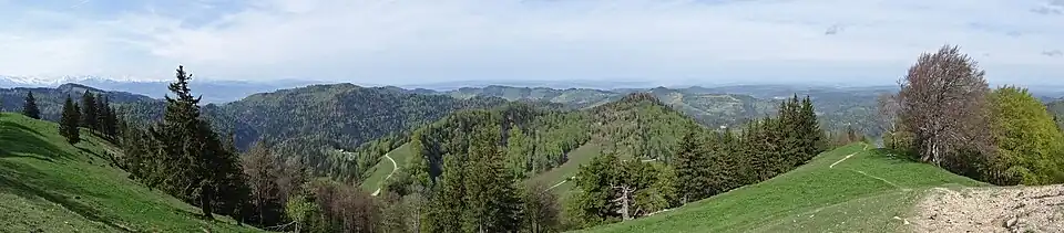 Panoramic view from summit