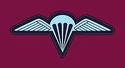 Close-up of the Parachute Wings badge worn by 3 RAR paratroopers, showing a winged parachute on a burgundy field.