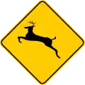 P-62 Wild animals