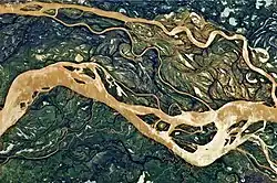 Astronaut's photo showing a 29-kilometre (18&nbsp;mi) stretch of the Paraná, just downstream from Goya, Argentina