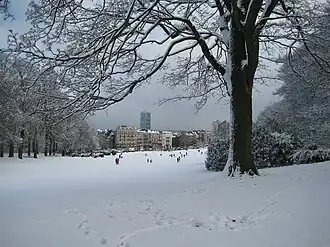 Forest Park