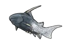 Parexus sp.