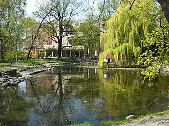 Northern pond