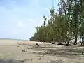 Parki Beach