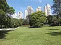 Central garden of Burle Marx Park.