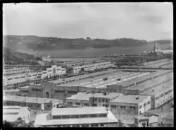 3rd Dunedin exhibition