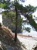 View from the coastal slope