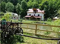 Brătioara trout farm