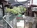 Naturalistic outdoor enclosure with rocks, trees, and viewing paths.
