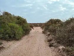 Sandy road down to the beach