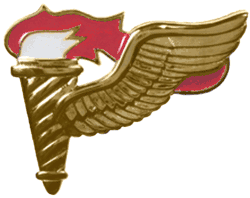 Pathfinder Badge[72]