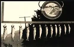 Paul Bunyan Fishing Tackle