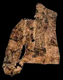Tattoos of the chief's back and left arm.[35]