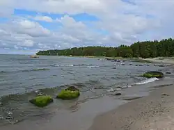 Pedassaare Cape