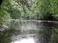 Peden's Cave view, River Lugar Gorge, East Ayrshire, Scotland