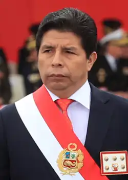 Headshot of Castillo facing left against a natural background