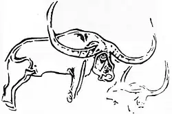 Tracing of a petroglyph representing giant long-horned buffalo from North Africa.