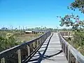 Boardwalk over marsh