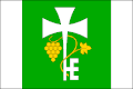 Flag of Petrovice