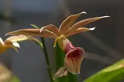 ""