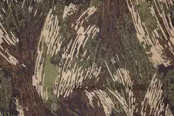 Woodland