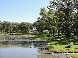 Elk Exhibit