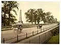 Dutch Elms, Phoenix Park, Dublin, c.1890 [8]