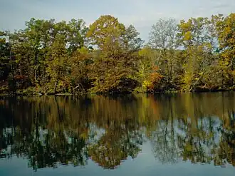 Lake
