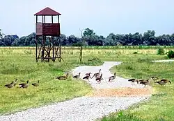 Fertő-Hanság NP