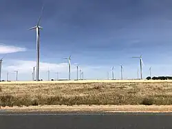Photograph of Murra Warra Wind Farm, December 2019