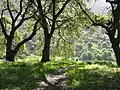 Picchetti Open Space Preserve, adjacent to Monta Vista