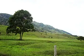 Foothills of Caquetá