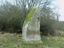 A menhir in Craménil